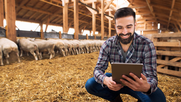 Internet rural y fibra óptica rural para impulsar el desarrollo en zonas rurales